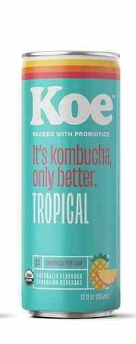 Koe Tropical